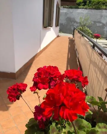 Sunset House Διαμέρισμα *